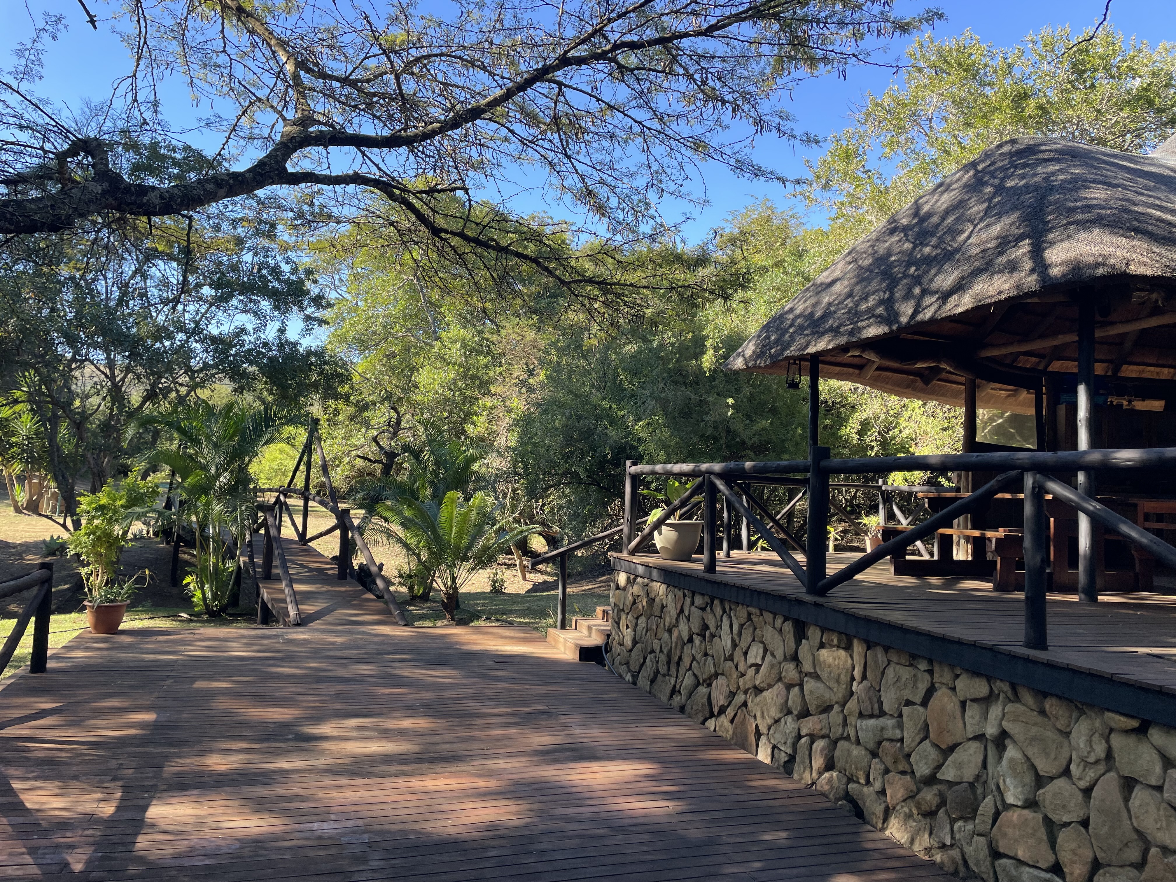 Matumi gallery image 2