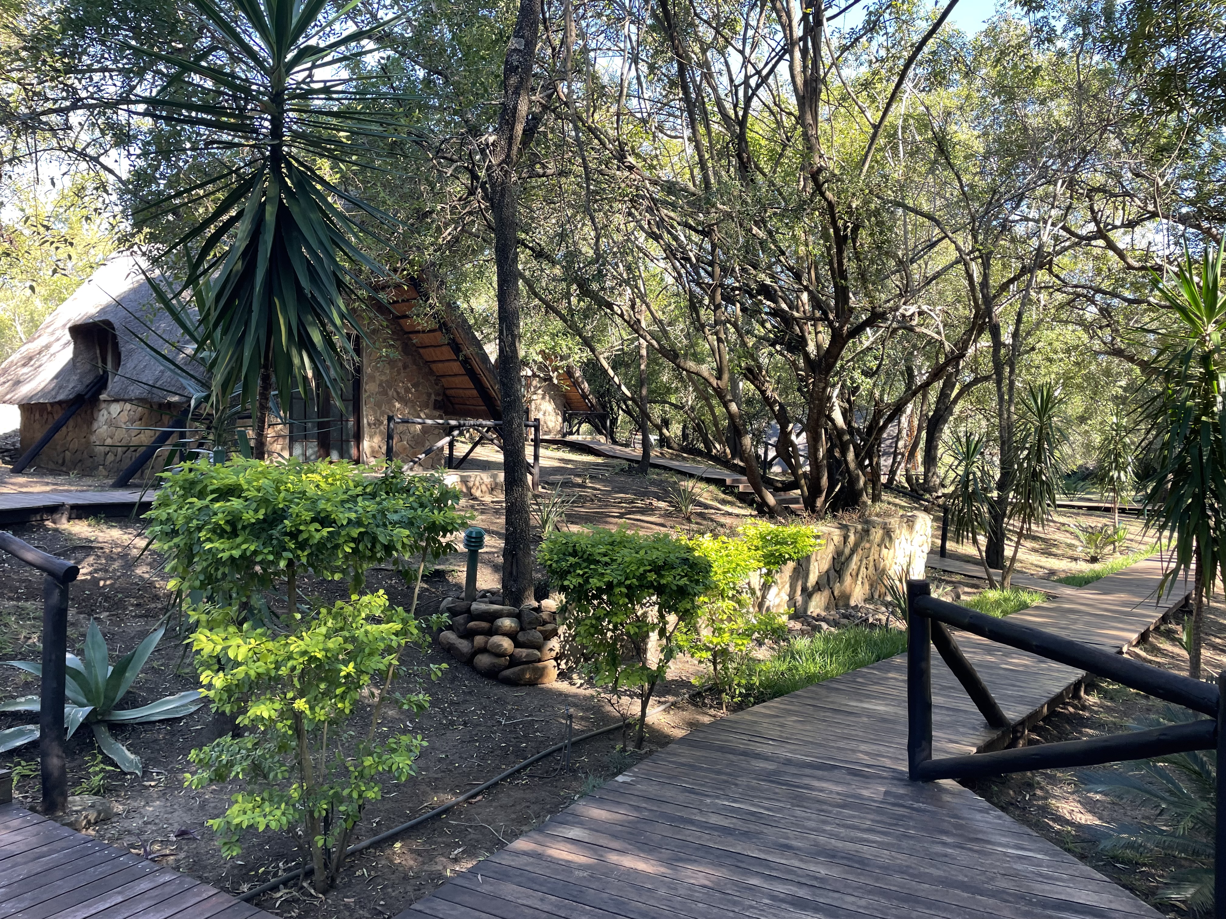 Matumi gallery image 3