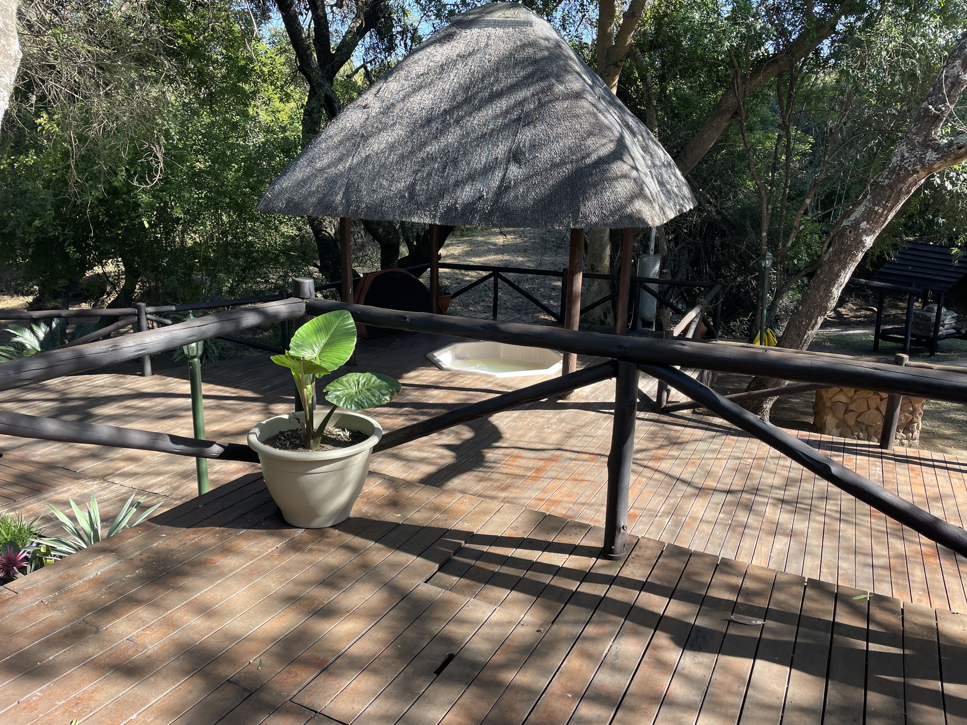 Matumi gallery image 5