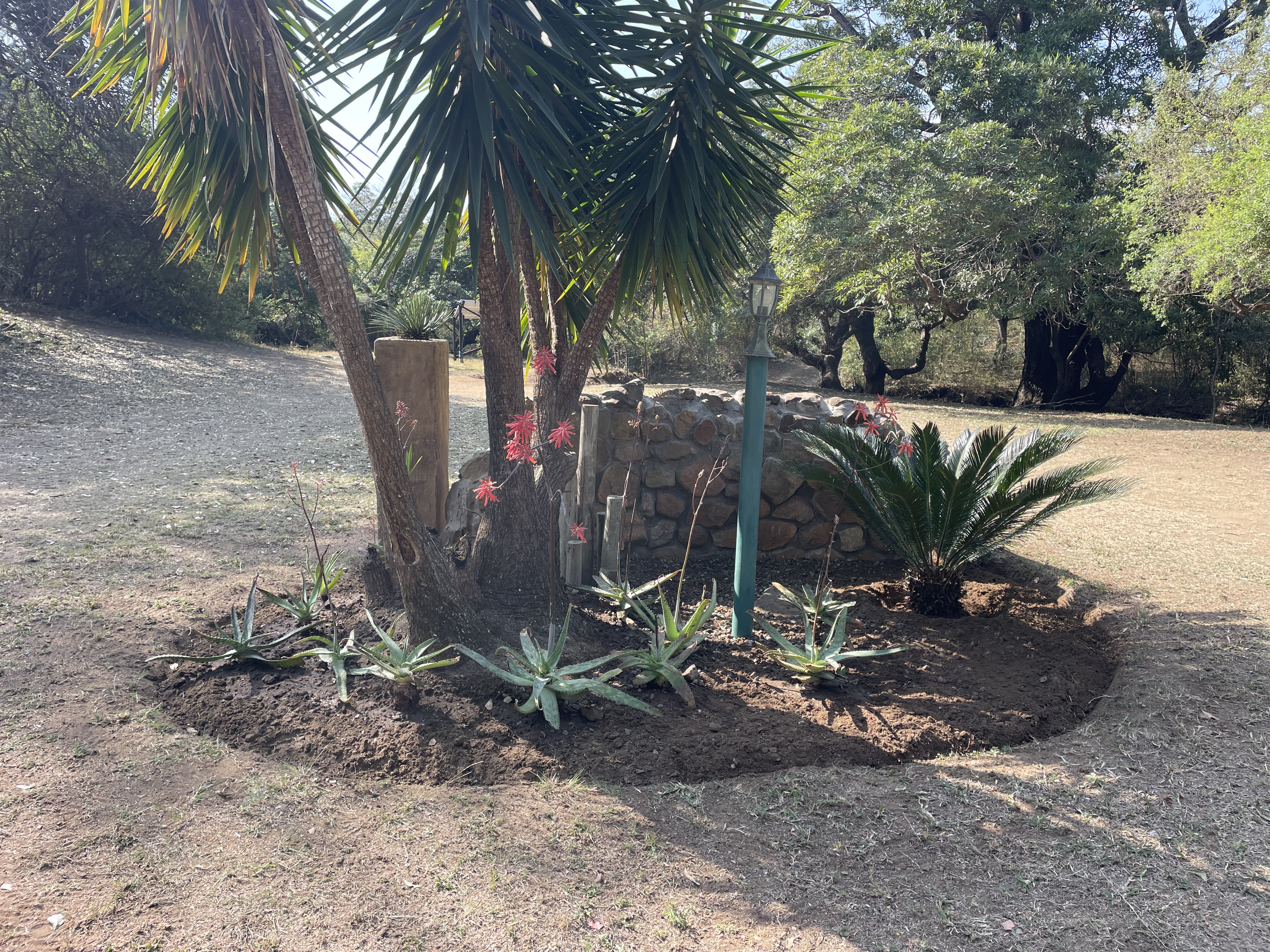 Matumi gallery image 9